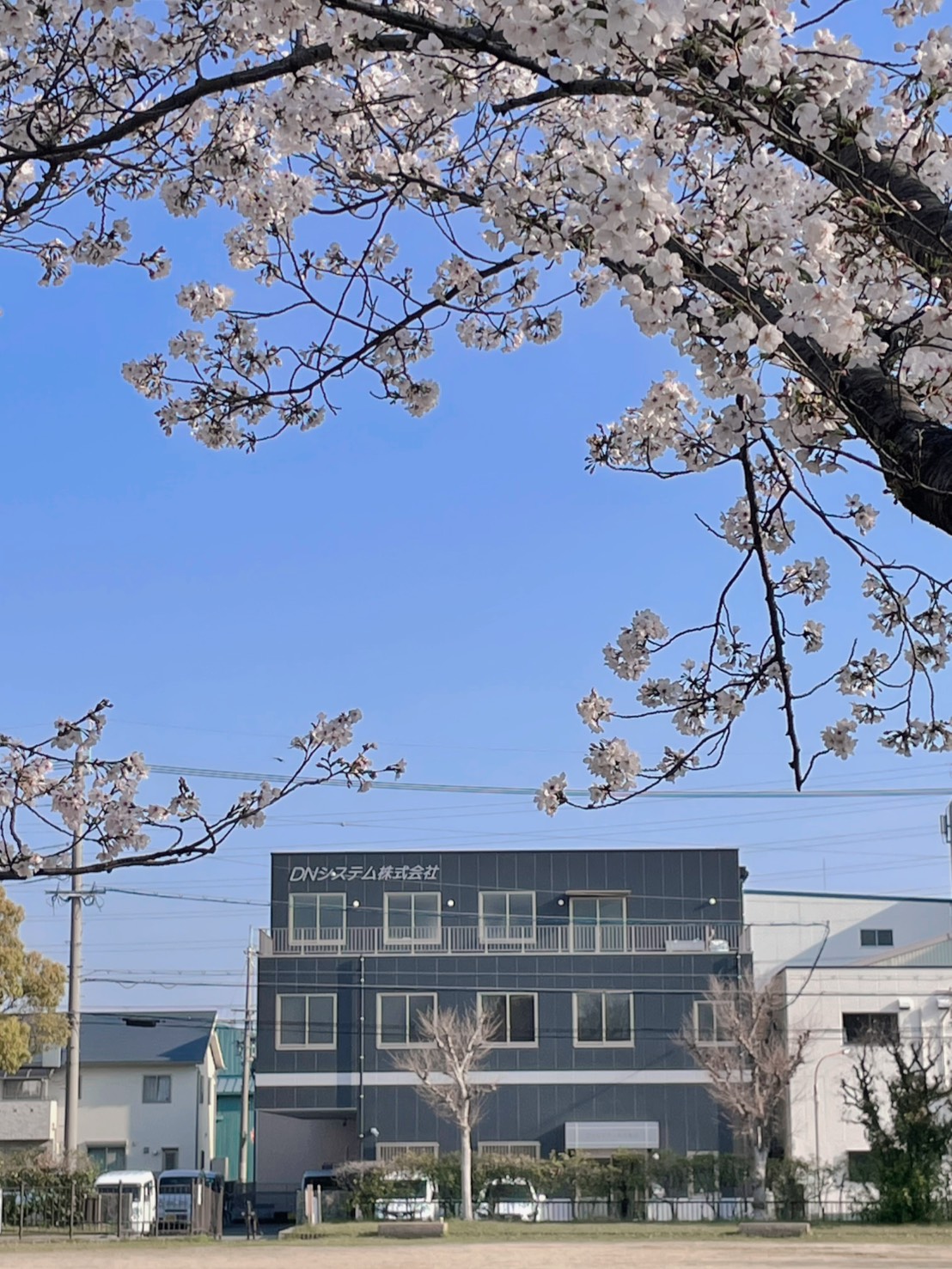 桜とともに新年度スタート